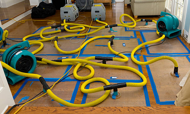 Professional Basement Flood Cleanup technician working in Avenal, CA